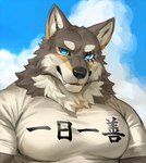 anthro barazoku big_muscles big_pecs blue_eyes clothed clothing cloud day eyebrows four-character_idiom fur grey_body grey_fur looking_at_viewer male muscular muscular_anthro muscular_male outside pecs scar shirt sky smile solo teeth text text_on_clothing text_on_shirt text_on_topwear topwear tuft youtuber rossciaco vtuber ogami_aratsuka canid canine canis mammal wolf 2022 half-length_portrait hi_res japanese_text portrait translated