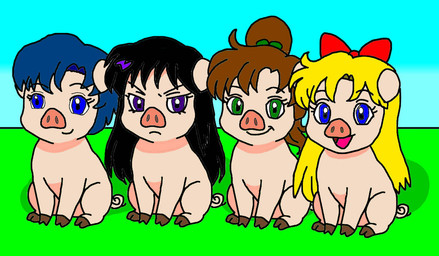 female group ami_mizuno makoto_kino minako_aino rei_hino domestic_pig mammal suid suine sus_(pig)