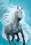 ambiguous_gender blue_background brown_eyes eyelashes feral fur grey_body grey_fur grey_hooves hooves looking_at_viewer mane photorealism running simple_background snout solo tail unguligrade white_mane white_tail johis moonlight_riders equid equine horse mammal 2021 adobe_photoshop_(artwork) blue_theme book_cover cover digital_media_(artwork) digital_painting_(artwork) hi_res official_art shaded