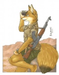 ak-47 ak_platform anthro assault_rifle barefoot biped black_pawpads claws clothing desert feet gun male military neck_muscles outside pawpads ranged_weapon rifle shading_eyes sitting solo tail uniform weapon kalahari canid canine fox mammal pale_fox true_fox 2011 marker_(artwork) traditional_media_(artwork)