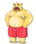 anthro belly bottomwear bulge clothing facial_hair humanoid_hands male moobs mustache navel nipples overweight overweight_anthro overweight_male shorts simple_background solo white_background bullbluedog canid canine canis domestic_dog mammal 2019 absurd_res hi_res