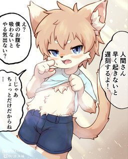 4_fingers anthro blue_clothing blue_eyes blue_shirt blue_topwear blush bodily_fluids bottomwear clothed clothing clothing_lift dialogue embarrassed fangs fingers half-closed_eyes looking_at_viewer male narrowed_eyes open_mouth pawpads shirt shirt_lift shorts shota solo speech_bubble sweat talking_to_viewer teeth text tongue topwear young young_anthro young_male piporinton domestic_cat felid feline felis mammal 2025 hi_res japanese_text translation_request
