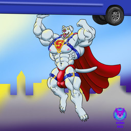 anthro big_bulge big_muscles bulge cape clothing collar flexing flexing_bicep floating flying harness huge_muscles lifting male muscular muscular_male solo speedo super_strength superhero swimwear underwear vehicle white_body seinki krypto_the_superdog krypto canid canine canis domestic_dog mammal 1:1 hi_res