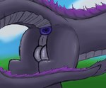 anus balls black_body black_scales butt feral fur genitals grey_body grey_scales male mane perineum puffy_anus purple_anus purple_body purple_fur purple_mane scales solo ventral_scales avox_(artist) mythology avox dragon mythological_creature mythological_scalie scalie hi_res