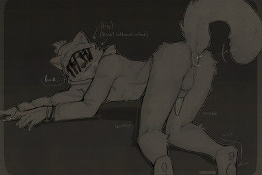anal anal_penetration animal_genitalia anthro ass_up backsack balls beanie blush bodily_fluids bracelet breath butt claws clothing dildo dildo_vibrator dreadlocks genital_fluids genitals hat headgear headwear hoodie jewelry leaking_precum male object_in_ass paws penetration penis precum profanity sex_toy sex_toy_in_ass sex_toy_insertion shaking sheath solo tail tail_motion tailwag tapering_penis topwear trembling vibrator vibrator_in_ass cerberussenn ceej_(cerberussenn) mammal procyonid raccoon absurd_res hi_res