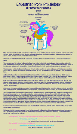 blue_body blue_feathers bone candy chart cross_section cutaway dessert diagram educational explanation feathered_wings feathers female feral food horn internal marshmallow quadruped simple_background skull solo species_sheet tail text the_more_you_know toony wings muniversalarts friendship_is_magic hasbro my_little_pony mythology equid equine mammal mythological_creature mythological_equine winged_unicorn absurd_res biological_illustration english_text hi_res model_sheet technical_illustration zoological_illustration