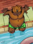 anthro belly big_belly black_nose clothing detailed_background eyes_closed male moobs nipples outside overweight overweight_male sitting solo swimming_pool swimwear water k-9 bear mammal 2019 hi_res