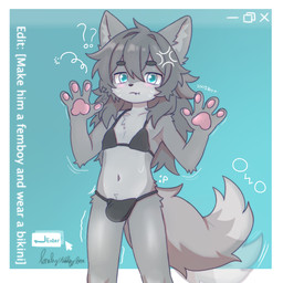 anthro bikini black_bikini black_clothing black_swimwear blue_eyes blush clothing embarrassed femboy fluffy fluffy_tail fur grey_body grey_hair hair kemono long_hair looking_at_viewer male navel pawpads paws pink_pawpads simple_background solo swimwear tail tail_motion tailwag two-piece_swimsuit lonelywolfyboi lonelywolfyboi_(character) canid canine canis mammal wolf 1:1 absurd_res hi_res shaded