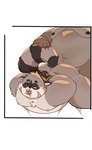 anthro belly big_belly blush bound brown_body brown_fur duo fur humanoid_hands kemono male male/male moobs nipples overweight overweight_male rope sex haoming bonasiah zoohomme rocco_(zoohomme) mammal procyonid raccoon 2021 hi_res