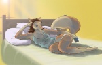 anthro bed biped breasts clothed clothing female furniture half-closed_eyes housewife inside lens_flare lying mature_anthro mature_female narrowed_eyes on_bed on_side pillow reclining skimpy solo tail underwear adonis canid canine fox mammal