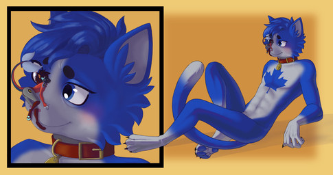 anthro blue_body collar duo female flustered kissing machine male male/female maple_leaf micro paws vicproto micah_(nuclear) victoria_[vicproto] domestic_cat felid feline felis mammal protogen absurd_res hi_res