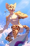 anthro clothing jewelry male necklace outside shark_tooth_necklace solo surfing swimming_trunks swimwear water jeniak solo_jazz_pattern felid feline mammal serval 2022 digital_media_(artwork) hi_res meme