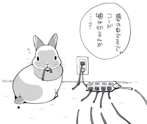 dewlap_(anatomy) feral fur looking_at_viewer multicolored_body multicolored_fur solo text two_tone_body two_tone_fur whiskers white_body white_fur ichthy0stega lagomorph leporid mammal rabbit japanese_text translation_check translation_request