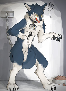 after_transformation anthro badge biped black_claws black_nose black_pawpads blue_body blue_fur bodily_fluids bound bowl chain chained cheek_tuft chest_tuft claws collar collar_only container digitigrade facial_tuft fangs finger_claws fluffy fluffy_tail flying_sweatdrops food_bowl fur head_tuft implied_transformation inner_ear_fluff kemono male nude open_mouth pawpads pet_bowl pupils semi-anthro shadow slit_pupils snout solo standing sweat sweatdrop tail tail_between_legs tears teeth toe_claws tongue tongue_out tuft white_body white_fur yellow_eyes juutton canid canine mammal hi_res shaded