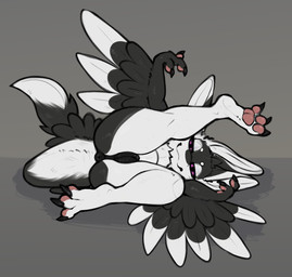 4_ears animal_genitalia animal_vulva anthro anus bent_legs big_butt big_tail black_anus black_body black_feathers black_finger_claws black_fur black_sclera black_toe_claws black_vulva butt canine_genitalia canine_vulva claws closed_smile digitigrade feathers feet fingers fur genitals grey_background hair inviting looking_at_viewer looking_back lying mismatched_genitalia mismatched_vulva mouth_closed multi_ear nude on_ground on_side pawpads paws pink_pawpads presenting presenting_hindquarters presenting_vulva puffy_anus purple_eyes raised_arm raised_leg simple_background smile smug smug_face smug_grin solo tail toes tuft underfluffies vulva white_body white_feathers white_fur winged_arms wings reetogoth fyr_(fenrir784) avali avian bird 2025 colored digital_drawing_(artwork) digital_media_(artwork) hi_res shaded simple_shading maleherm_(lore)