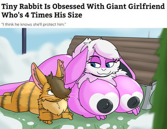 anthro areola bench big_areola big_breasts black_areola black_nipples blue_eyes breasts brown_hair duo ear_piercing ear_ring ear_tuft facial_piercing female fur hair huge_breasts larger_female lip_piercing lip_ring male male/female nipples orange_body orange_fur outside piercing pink_body pink_fur ring_piercing size_difference smaller_male snow striped_body striped_fur stripes text tuft white_body white_fur white_hair starit tiny_rabbit_is_obsessed_with_giant_girlfriend cornelious_raidon yuni_hermit lagomorph leporid mammal rabbit english_text meme