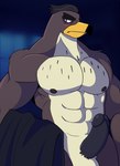 abs anthro balls beak biceps big_penis biped black_nipples black_penis blush erection genitals hair looking_at_viewer male muscular muscular_anthro muscular_male nipples non-mammal_balls nude pecs penis solo vier_punksterne disney ducktales ducktales_(2017) falcon_graves avian bird falcon falconid 2018 absurd_res digital_media_(artwork) hi_res