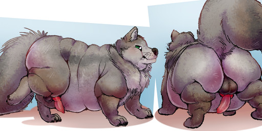 animal_genitalia animal_penis backsack balls belly big_belly big_butt butt canine_genitalia canine_penis erection feral genitals knot male morbidly_obese multiple_poses obese obese_feral obese_male overweight overweight_feral overweight_male penis pose solo fluffmoss canid canine canis mammal vancouver_island_wolf wolf 2026 absurd_res hi_res