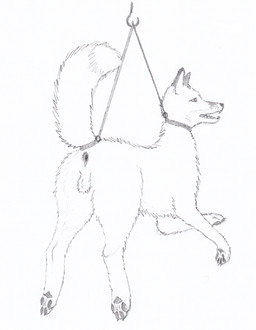 anal anthro asphyxiation bdsm bondage bound choking electrocution fur hanged killing male paws simple_background snuff solo strangling submissive submissive_male tail white_background abracon canid canine fox mammal