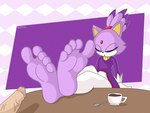 5_toes anthro barefoot beverage clothed clothing container cup duo feet female foot_fetish genitals humanoid_genitalia humanoid_penis male penis purple_body sleeping soles tea tea_cup toes vein veiny_penis burtreex sega sonic_the_hedgehog_(series) blaze_the_cat domestic_cat felid feline felis human mammal hi_res