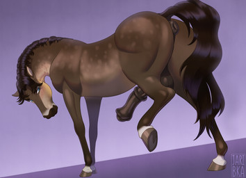 anatomically_correct anatomically_correct_genitalia anatomically_correct_penis animal_genitalia animal_penis anus balls bedroom_eyes butt equine_anus equine_genitalia equine_penis erection feral flared_penis genitals looking_at_viewer male mane narrowed_eyes penis presenting presenting_hindquarters purple_background raised_tail seductive simple_background solo tail jaribka equid equine horse mammal 2025