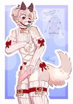 anthro ball_gag bow_ribbon embarrassed femboy flustered gag genitals knot knotted_penis leaking male penis solo syntham australian_shepherd canid canine canis domestic_dog herding_dog mammal pastoral_dog sheepdog hi_res