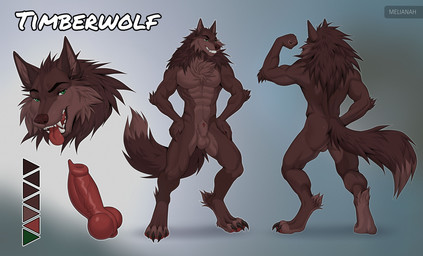 abs anthro balls brown_body brown_fur erection fangs fur genitals knot knotted_penis male muscular muscular_male penis sharp_teeth solo teeth melianah timberwolf_(character) canid canine canis mammal wolf hi_res model_sheet