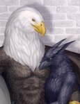 anthro athletic beak black_beak black_body black_feathers brown_body brown_feathers cuddling duo fanged_beak feathers green_eyes holding_each_other male male/male sitting size_difference white_body white_feathers wings yellow_beak yellow_eyes fridaflame european_mythology greek_mythology mythology alcander pentazer accipitrid accipitriform avian bald_eagle bird corvid corvus_(genus) eagle hippogriff mythological_avian mythological_creature mythological_equine oscine passerine raven sea_eagle 2022 hi_res