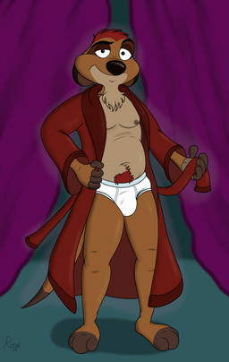 anthro bathrobe briefs bulge clothed clothing half_naked looking_at_viewer male navel nipples pubes robe solo standing underwear undressing rasik disney the_lion_king timon herpestid mammal meerkat 2025 absurd_res hi_res