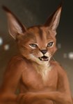 anthro big_ears black_nose blurred_background brown_body brown_fur chest_tuft crossed_arms fangs fur grey_eyes looking_at_viewer male open_mouth patreon_artist patreon_username pink_tongue slim slim_male smile solo teeth tongue tuft whiskers stampmats felid feline lynx mammal hi_res