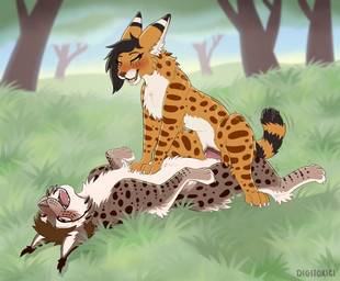 animal_genitalia animal_penis animal_vulva black_body black_fur black_hair blush brown_body brown_eyes brown_fur claws cowgirl_position digitigrade duo erection eyelashes feline_genitalia feline_vulva female female_on_top female_penetrated feral feral_on_feral feral_penetrated feral_penetrating feral_penetrating_feral feral_with_hair from_front_position fur genitals grass hair male male/female male_on_bottom male_penetrating male_penetrating_female markings multicolored_body multicolored_fur on_bottom on_top outside_sex paws penetration penile penile_penetration penis penis_in_vagina plant quadruped ring_(marking) ringed_tail sex spots spotted_body spotted_fur striped_markings striped_tail stripes tail tail_markings toe_claws tree vaginal vaginal_penetration white_body white_fur digitoxici kestrel_(sylvertears) felid feline lynx mammal serval 2025 digital_media_(artwork) hi_res