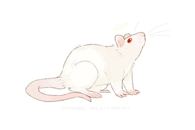 ambiguous_gender back_tuft beady_eyes chest_tuft feral fur halo pink_body pink_inner_ear pink_skin pink_tail side_view simple_background solo tail tuft unsigned whiskers white_background white_body white_fur asnnonaka mammal murid murine rat rodent 3:2 full-length_portrait hi_res portrait