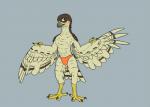 anthro avian_feet beak blush brown_body brown_feathers bulge clothed clothing feathered_wings feathers feet looking_at_viewer male orange_eyes solo speedo standing swimwear talons tan_body tan_feathers toes topless wings doesnotexist lief_woodcock accipiter accipitrid accipitriform avian bird eurasian_sparrowhawk true_hawk 2017 digital_media_(artwork) hi_res