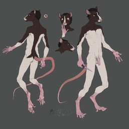 anthro backsack balls black_hair blush brown_body brown_fur butt claws dagger digitigrade flaccid foreskin fur genitals hair humanoid_genitalia humanoid_penis knife male melee_weapon multiple_poses nude penis pose solo weapon white_body white_fur conditional_dnp tgt1512 warhammer_(franchise) znik_verminseeker mammal murid murine rat rodent skaven hi_res