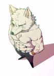 abs anthro belt biceps big_muscles bottomwear chest_tuft clothed clothing fur kemono male muscular muscular_anthro muscular_male nipples pants pecs simple_background solo topless tuft white_background white_body white_fur husky_(artist) koreanhusky canid canine canis domestic_dog mammal absurd_res hi_res