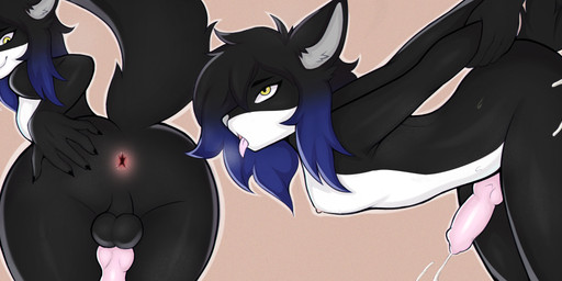 anal anal_penetration animal_genitalia animal_penis anthro anus arm_pull backsack balls black_balls black_body black_ears black_fur black_hair black_tail blep blue_hair_tips bodily_fluids butt canine_genitalia canine_penis countershade_torso countershading cum cum_on_butt erection from_behind_position fur genital_fluids genitals grey_inner_ear_fluff grey_nose hair inner_ear_fluff looking_at_viewer male nipples nude penetration penile penile_penetration penis penis_in_ass penis_tuck pink_nipples pink_penis pink_tongue presenting presenting_anus presenting_hindquarters prison_guard_position red_anus sex simple_background smile solo tail tongue tongue_out tuft white_body white_fur yellow_eyes hemelarix canid canine mammal digital_media_(artwork) hi_res