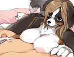 anthro average_penis bernese_mountain_dog big_breasts black_body black_fur black_nose blush breast_rest breasts brown_body brown_eyes brown_fur brown_hair canid canine canis censor_bar censored claws digital_media_(artwork) domestic_dog duo faceless_character faceless_male female female_on_human first_person_view fur genitals hair handjob human human_on_anthro humanoid_genitalia humanoid_penis ineffective_censorship interspecies kemono kikurage long_hair looking_at_viewer lying male male/female male_on_anthro male_pov mammal molosser mountain_dog multicolored_body multicolored_fur nipples nude on_side on_side_handjob open_mouth penile penis sex small_penis swiss_mountain_dog white_body white_fur