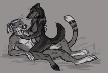 anthro anthro_on_anthro biped black_nose breasts cheek_tuft chest_tuft dipstick_tail duo eye_contact facial_tuft featureless_crotch female female_anthro grass looking_at_another male male/female male_anthro markings medium_breasts nude nude_anthro nude_female nude_male open_mouth outdoor_nudity pawpads plant sex side_view striped_markings striped_tail stripes tail tail_markings tuft whiskers heatherwolf canid canine canis felid mammal wolf absurd_res digital_drawing_(artwork) digital_media_(artwork) greyscale hatching_(art) hi_res monochrome shaded sketch