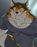 anthro biceps bottomwear clothing countershading fur male multicolored_body multicolored_fur muscular muscular_anthro muscular_male pecs shirt shorts smile solo t-shirt topwear yellow_eyes crazy_sll lifewonders live_a_hero barrel_(live_a_hero) canid canine canis mammal wolf hi_res