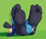 5_toes big_feet detachable detachable_head feet foot_fetish foot_focus frown green_background headless huge_feet humanoid_feet hyper hyper_feet modular nbm paws plantigrade simple_background toes what what_has_science_done marblepan nintendo pokemon dewott generation_5_pokemon mammal mustelid otter pokemon_(species) digital_drawing_(artwork) digital_media_(artwork) shaded