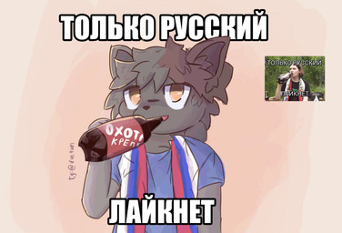 alcohol anthro beer beverage clothing fur grey_body grey_fur male red_body red_fur russian_flag solo standing text vustur felid feline mammal absurd_res hi_res meme reference_image russian_text translated