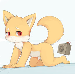 all_fours anthro balls blush camera chest_tuft claws embarrassed flaccid foreskin frown fur genitals humanoid_genitalia humanoid_penis kemono male nude penis raised_tail red_eyes small_penis solo tail tuft unretracted_foreskin young young_anthro young_male yupa canid canine canis domestic_dog mammal absurd_res hi_res