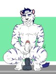 anal anal_penetration balls blue_body blue_fur blue_hair crouching dildo dildo_insertion dildo_penetrating_male dildo_penetration fur genitals green_eyes hair humanoid_genitalia humanoid_penis male muscular muscular_male penetration penis sex_toy sex_toy_insertion solo stripes vein veiny_penis white_body white_fur hunterramirez tom_(hunterramirez) felid mammal pantherine tiger 3:4 hi_res