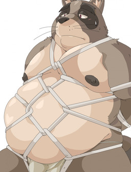 anthro asian_clothing bdsm belly blush bodily_fluids bondage bound bulge clothing east_asian_clothing fundoshi japanese_clothing male moobs nipples overweight overweight_anthro overweight_male simple_background solo sweat underwear white_background white_clothing white_underwear bluewhale127 canid canine mammal raccoon_dog tanuki 2015 hi_res
