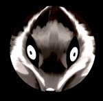 anthro female keyhole looking_at_viewer mask plant tree sound_warning unknown_artist tiny_bunny alice_the_vixen canid canine fox mammal red_fox true_fox 1:1 animated monochrome short_playtime sound webm