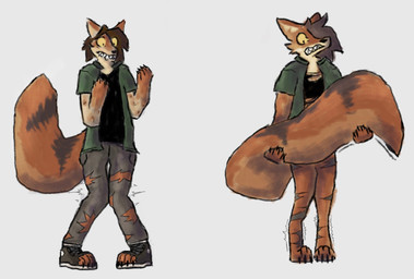 ambiguous_gender anthro bottomless brown_body brown_fur brown_hair claws clothed clothing covering covering_self fur fur_growth growth hair mid_transformation open_clothing open_shirt open_topwear sharp_teeth shirt solo tail_covering_crotch teeth topwear torn_clothing transformation foxes-radio canid canine canis coyote human mammal hi_res