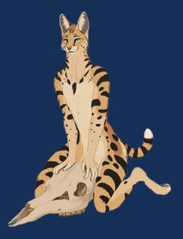 andromorph anthro black_spots brown_body brown_fur fur green_eyes intersex male simple_background sitting sitting_on_skull solo spots transparent_background skullsbesan kalshan_(purrma) felid feline mammal serval 2025 absurd_res alpha_channel hi_res