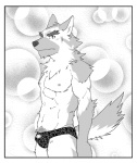 abstract_background anthro biped border bulge clothed clothing fur looking_aside looking_at_viewer male muscular muscular_anthro muscular_male nipples side_view skimpy solo speedo standing swimwear tail topless white_border ryuta-h canid canine canis domestic_dog mammal greyscale half-length_portrait monochrome portrait