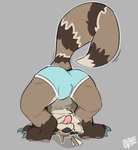 anthro bulge claws clothing male paws smile smiling_at_viewer snout solo tail teasing tongue underwear sodacaps jono mammal procyonid raccoon hi_res