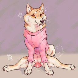 animal_genitalia animal_vulva bottomless canine_genitalia canine_vulva clothed clothing curled_tail female feral fur genitals pink_vulva quadruped sitting solo spread_legs spreading sweater sweater_only tail tail_motion tailwag tan_body tan_fur topwear topwear_only vulva hakudoge panama_(hakudoge) canid canine canis domestic_dog mammal shiba_inu spitz 1:1 hi_res